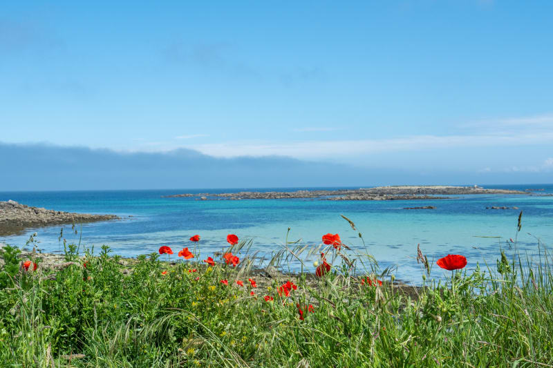 Balade entre mer et marais à Batz-sur-Mer - Batz-sur-Mer