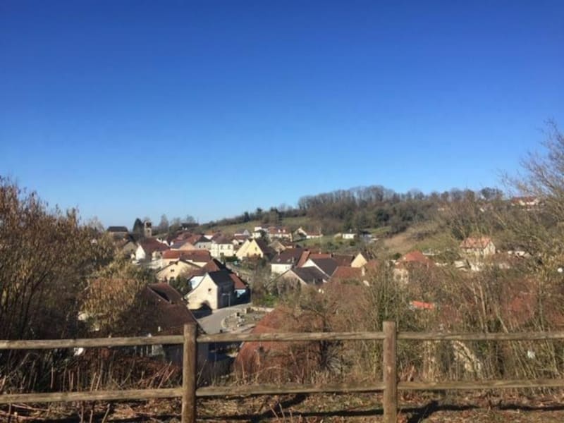Balade dans les bois de Pelousey - Pelousey
