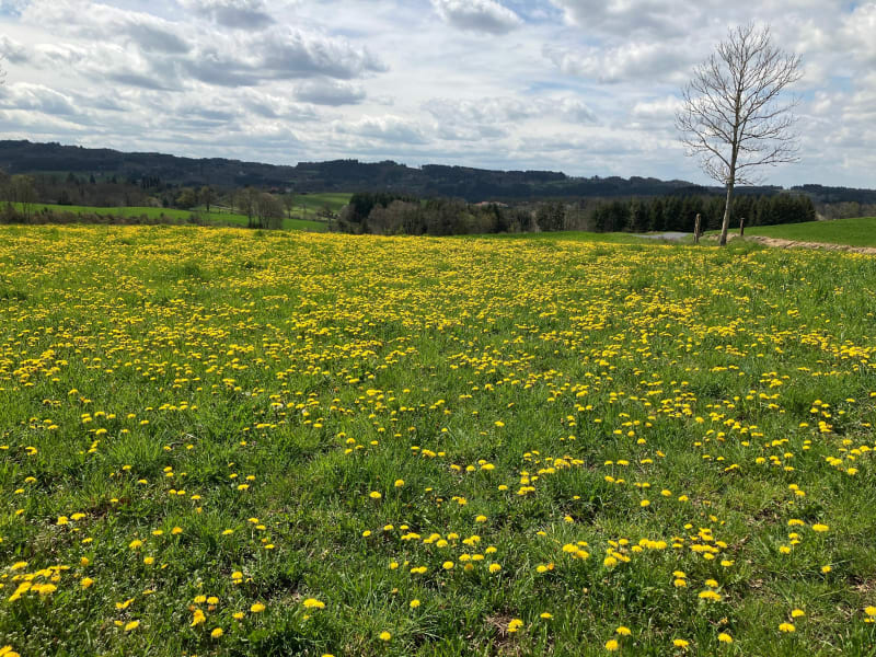 Marche autour de Cunlhat - Cunlhat