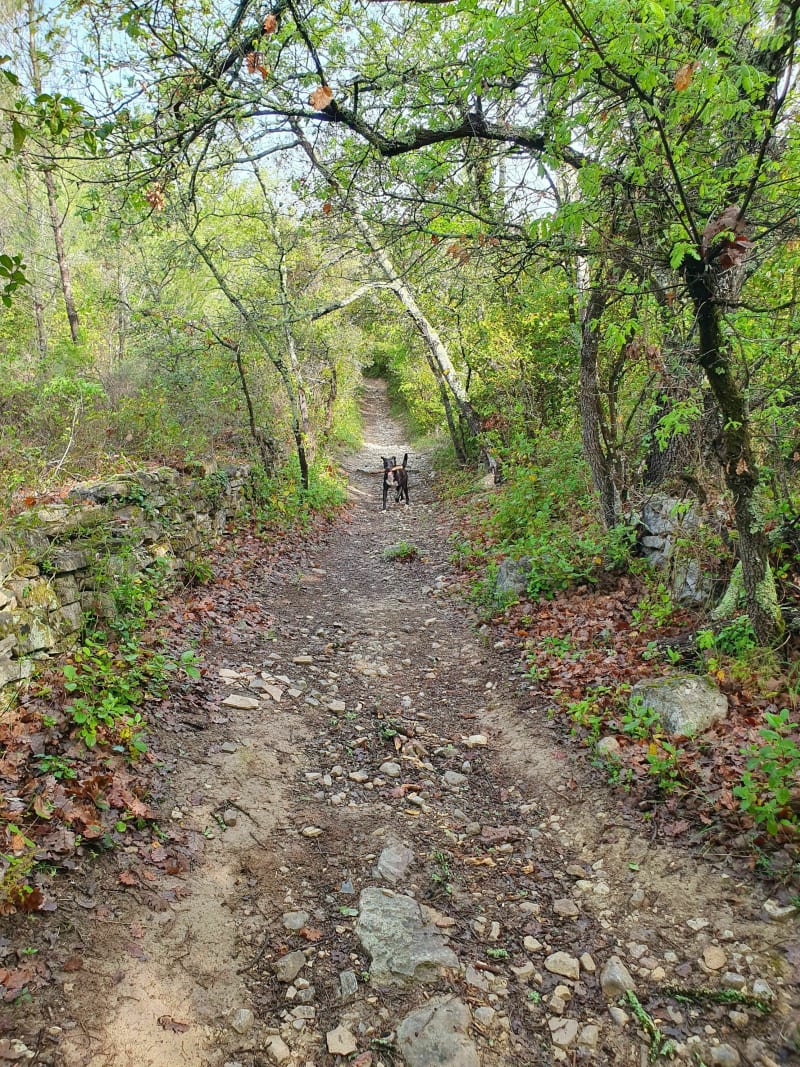 Boucle dans les Bois de Mons - Mons