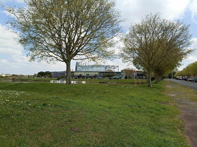 De Planète Exotiqua à l'auditorium - Royan