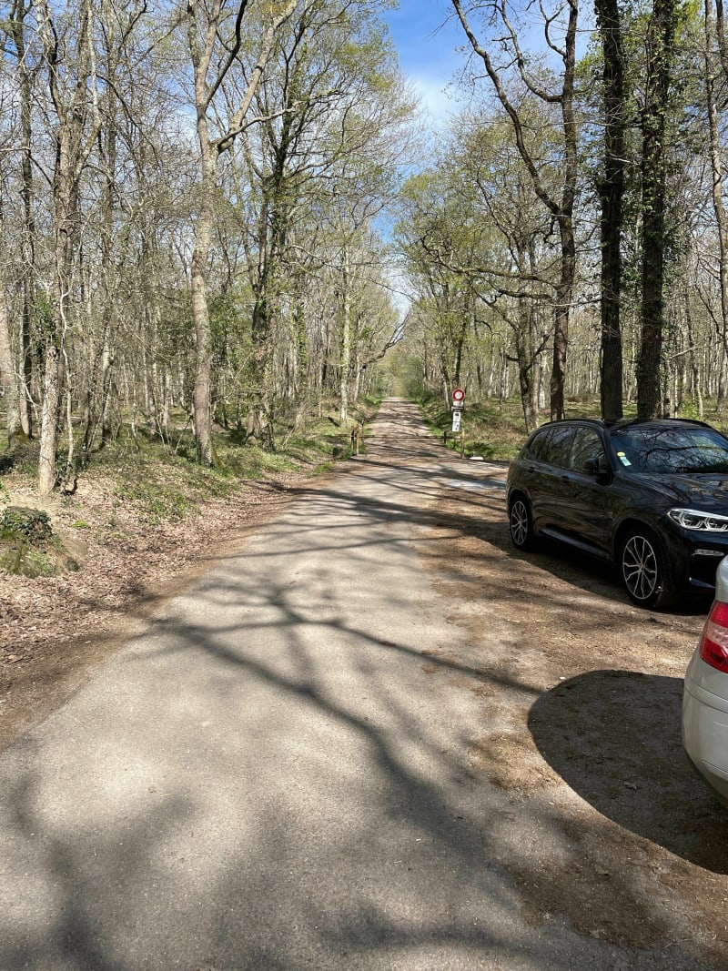 Tour de la forêt de Buzet depuis le parking Sud - Buzet-sur-Tarn