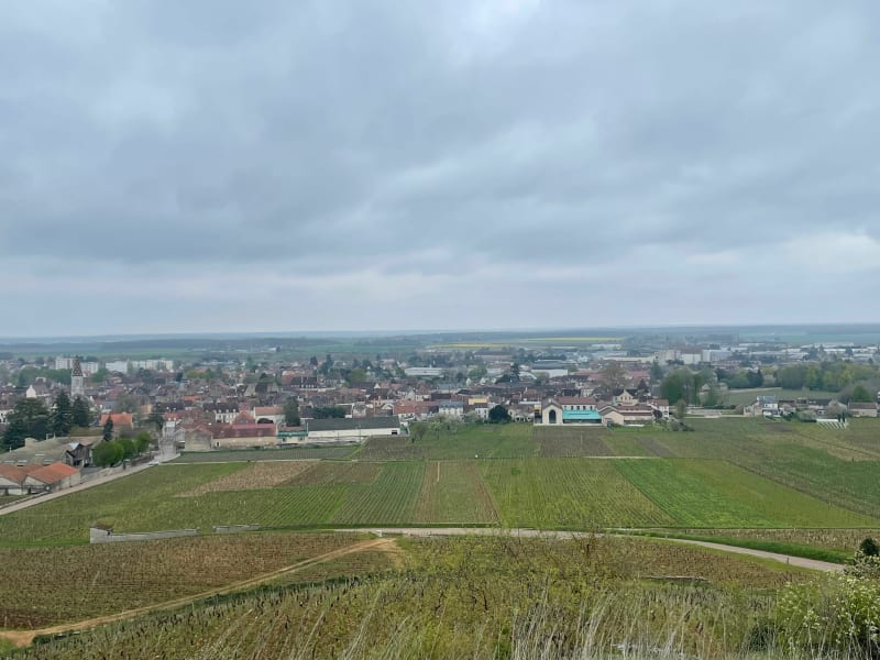 Balade sur les hauteurs de Nuits Saint Georges - Nuits-Saint-Georges