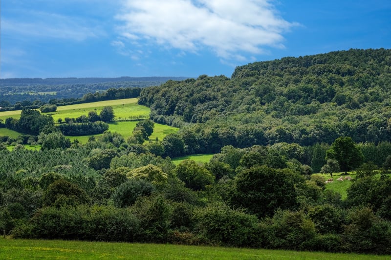 Randonnée au Mont des Avaloirs et Moulin de la Sourdière - Champfrémont