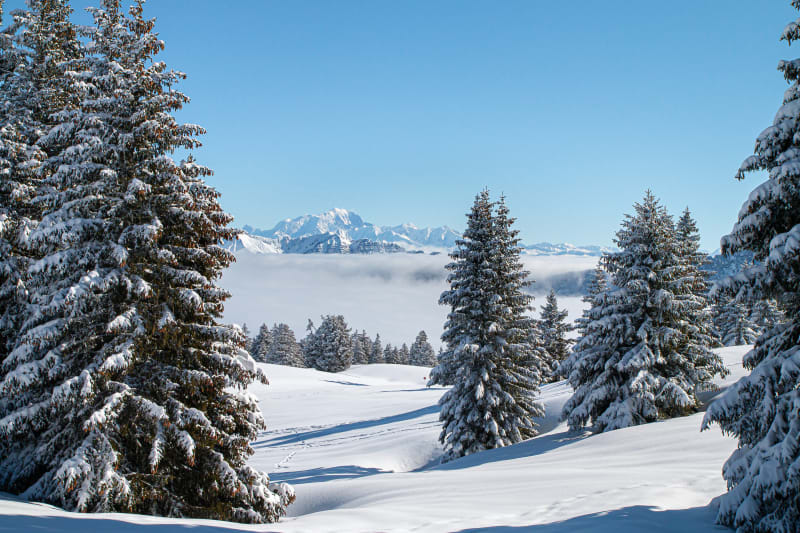 Excursion enneigée au Mont Morbié et Chalets de la Fullie - Aillon-le-Jeune