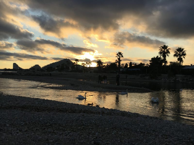 Remontée des rives du Loup de l’embouchure jusqu’à La Colle - Cagnes-sur-Mer