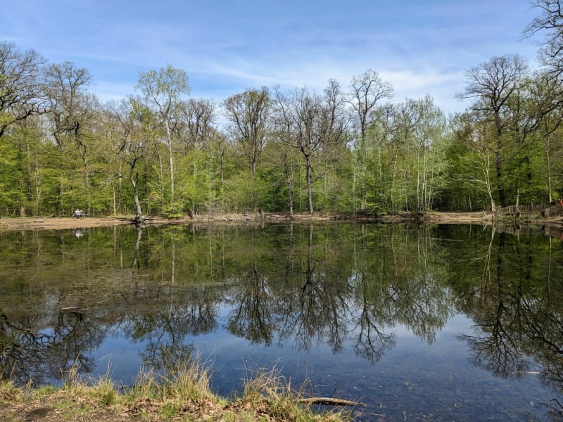 Tour de la forêt de St Germain - Maisons-Laffitte