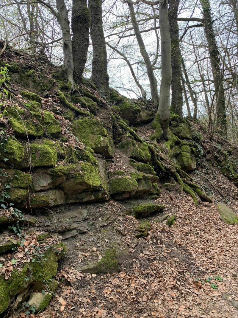 Tunnels Roche - Roche-la-Molière