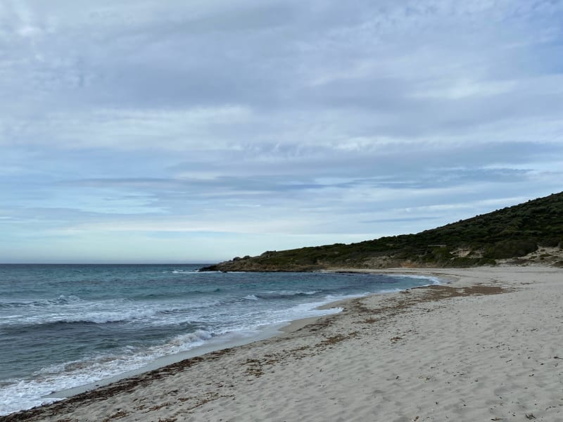 Balade d’Avril, ventée aux plages de Bodre et Ghjunchetu ️ - Corbara