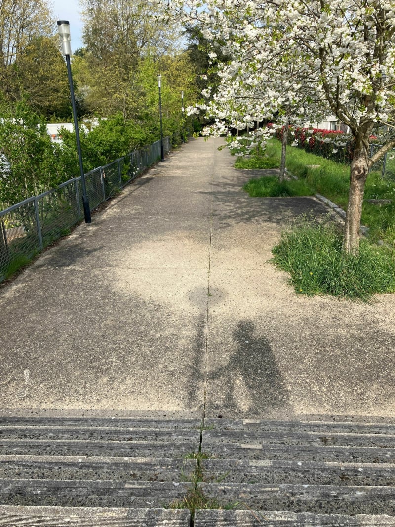 Chezine-Gournerie Loop - Nantes