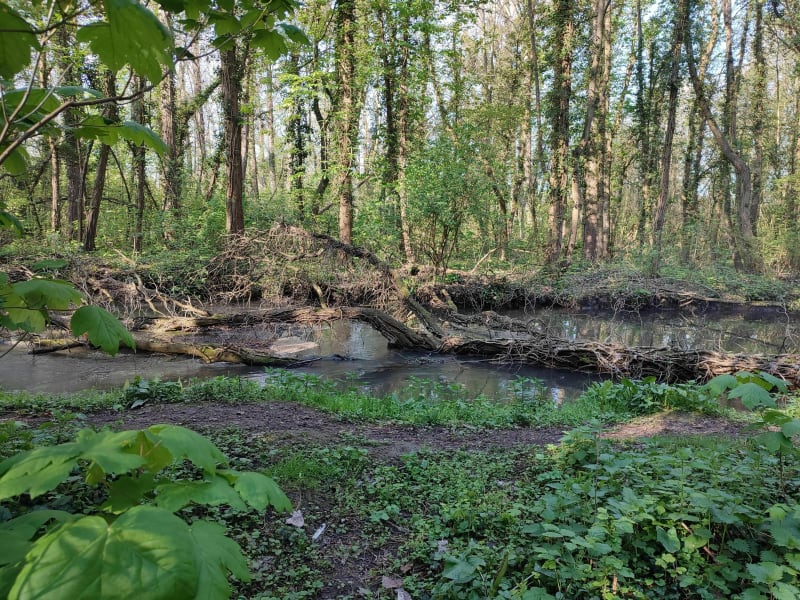 La bréche - Liancourt