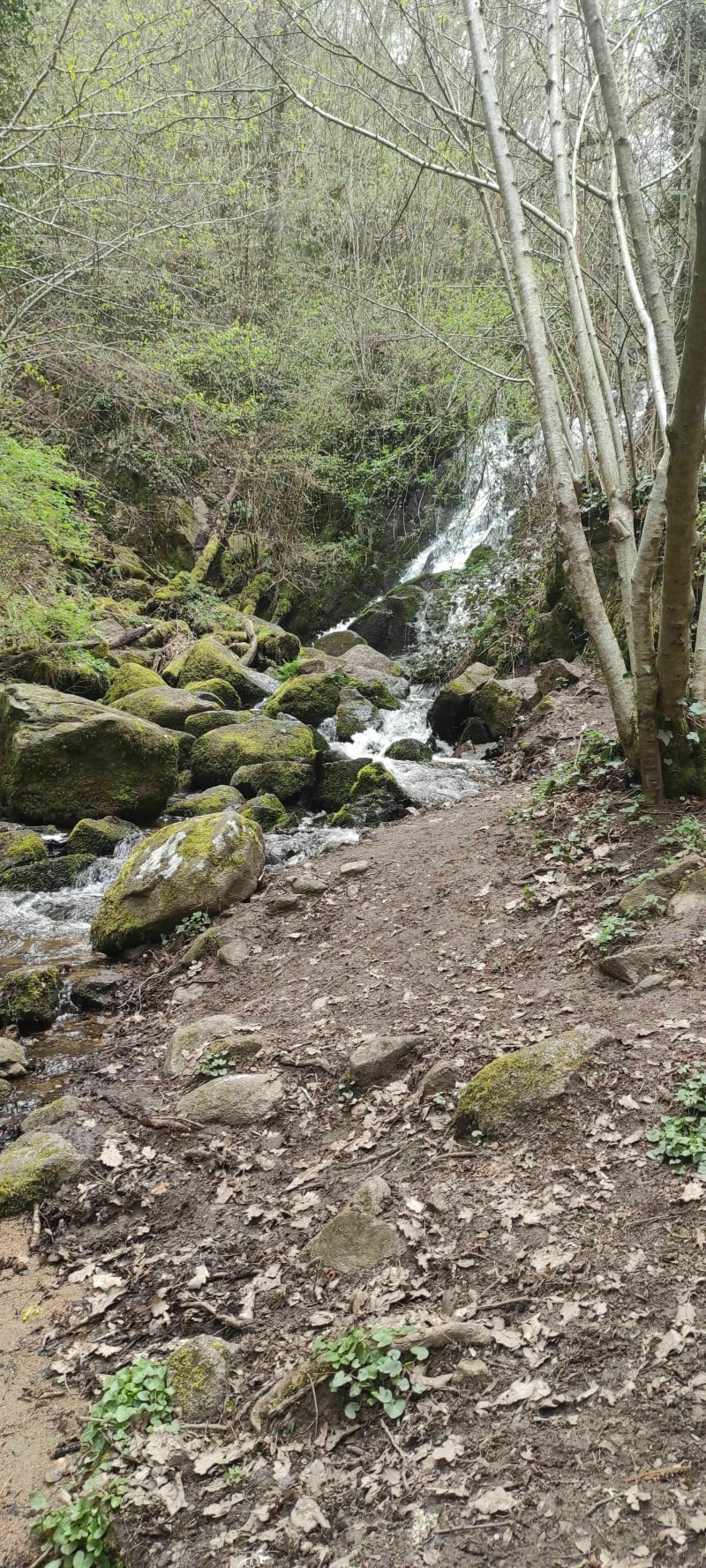 Cascades de la vallée de Sans Souci - Châtel-Guyon