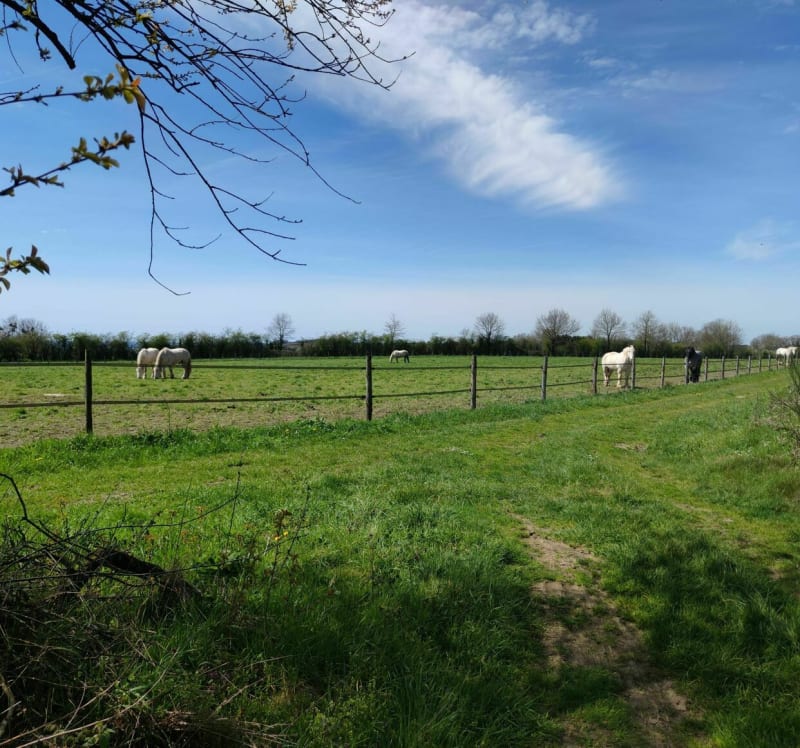 Circuit des Meuniers - Les Epesses