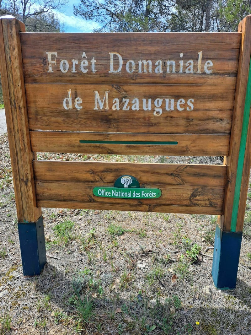 Belle balade sur les hauteurs de Mazaugues par la Petite Colle - Mazaugues