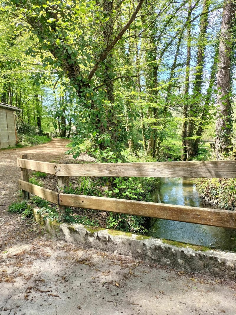 Balade au bord de la rivière - Saint-Césaire