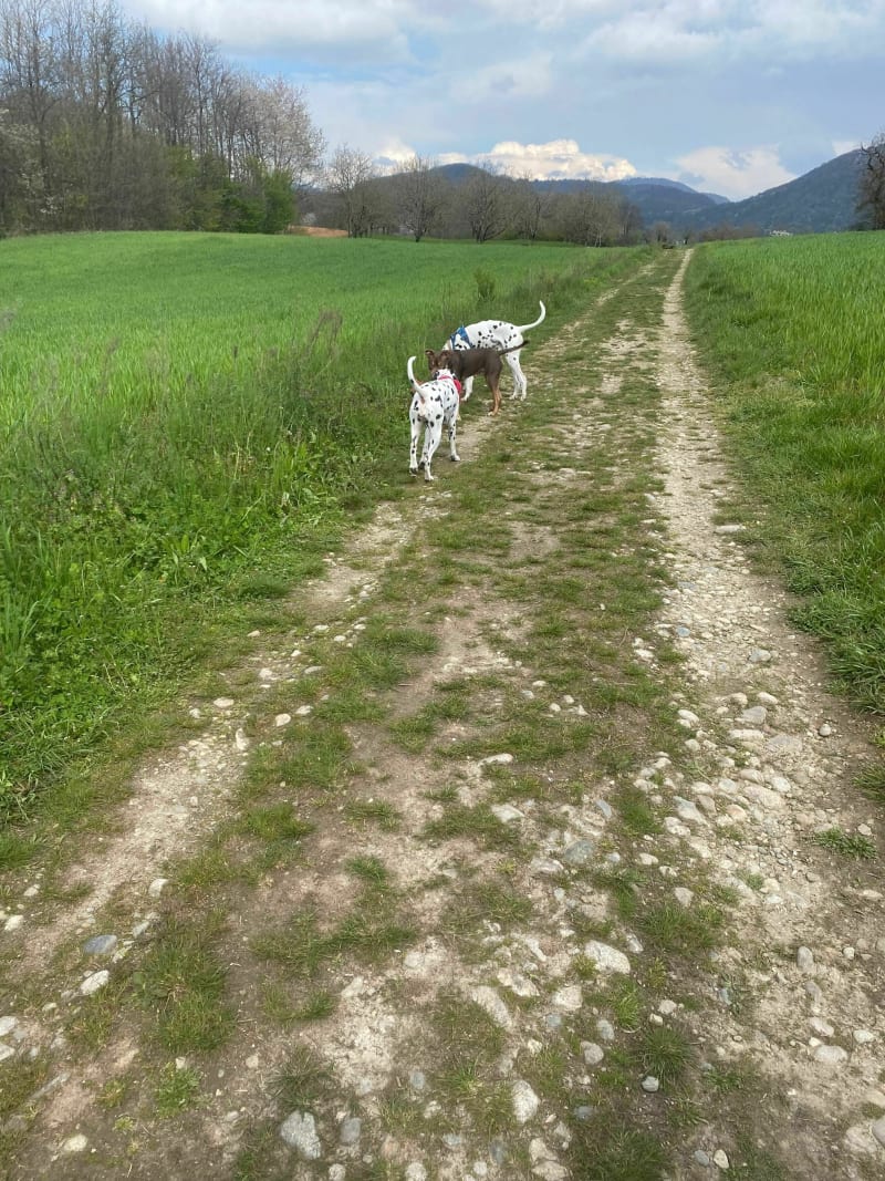 Balade à Charoze le haut - Voiron