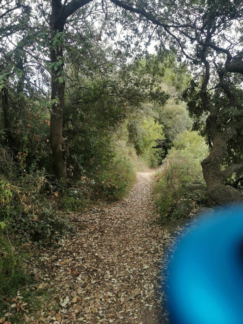 Entre canal et guarrigue depuis Homps - Homps