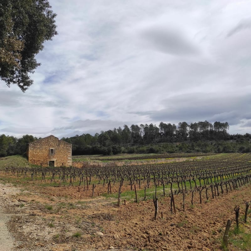 Très belle boucle de Saint André d'Olerargue par sabran à VTT - Saint-André-d'Olérargues