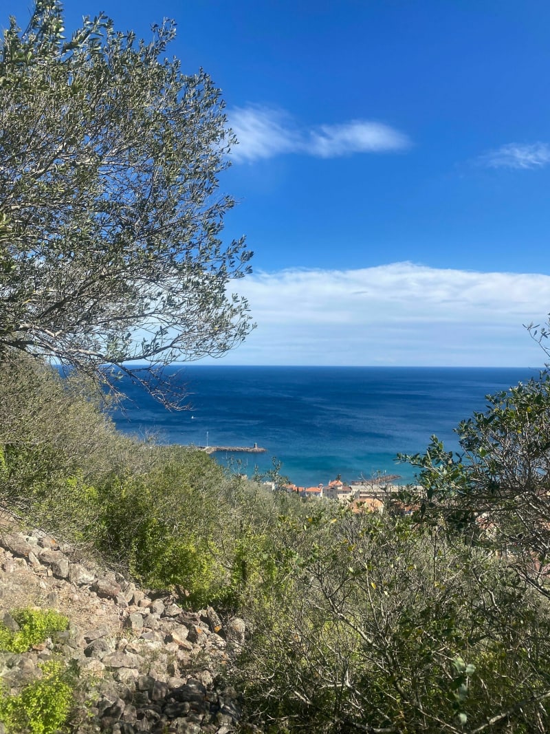San Peyre par la face nord à Mandelieu - Mandelieu-la-Napoule