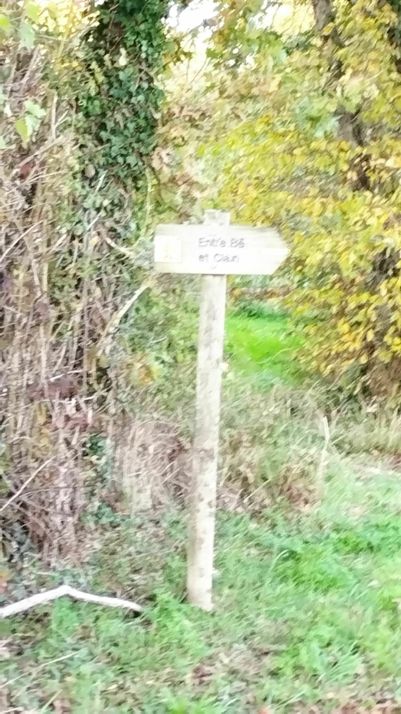 Saint-Maurice-la-Clouère par des chemins boisé et tranquille - Gençay