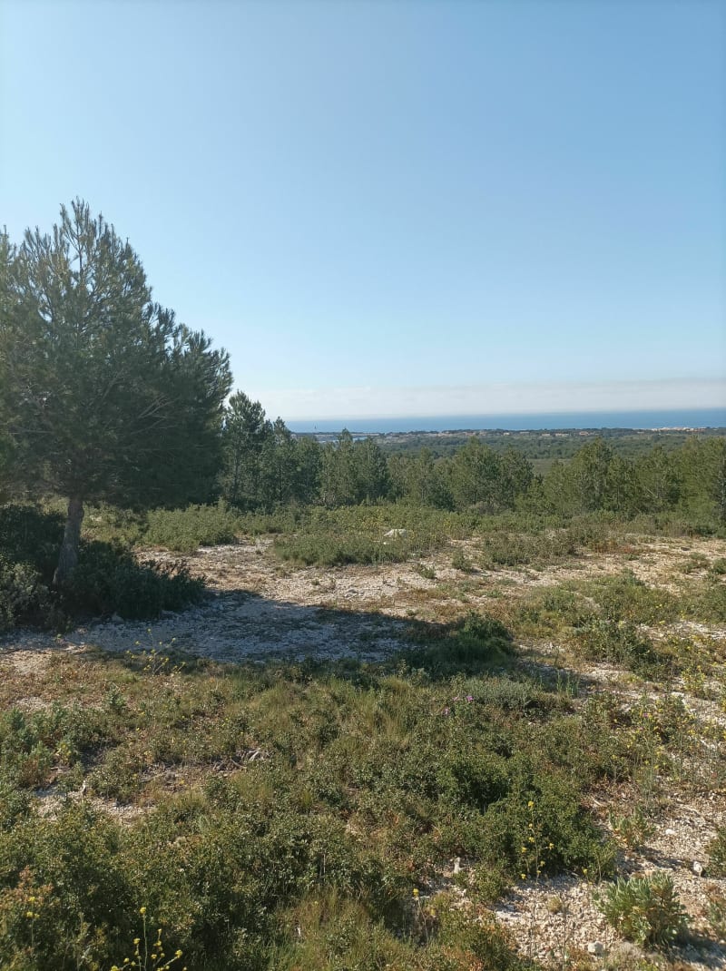 Balade de l'Arquet - Martigues