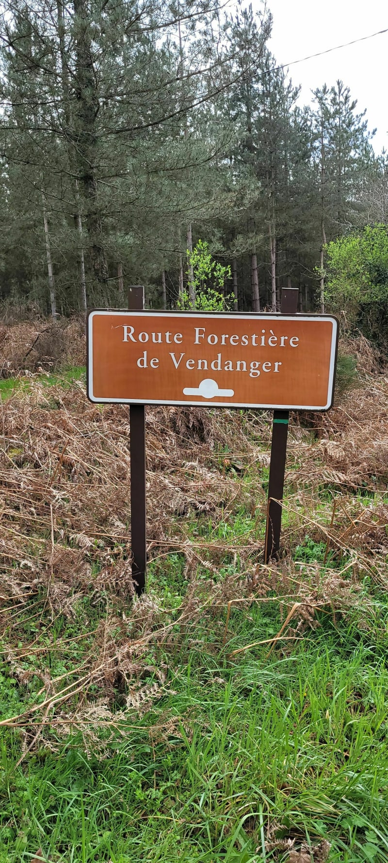 Randonnée sur jumelles par le Bois au Moine - Longué-Jumelles