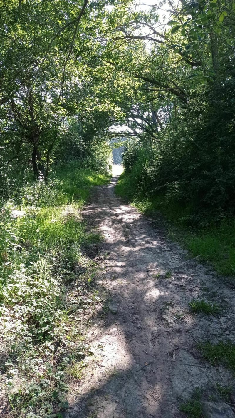Balade entre Coignières et Saint-Rémy-l'Honoré - Coignières