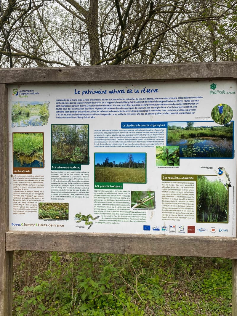 Autour de l'Étang Saint-Ladre - Boves