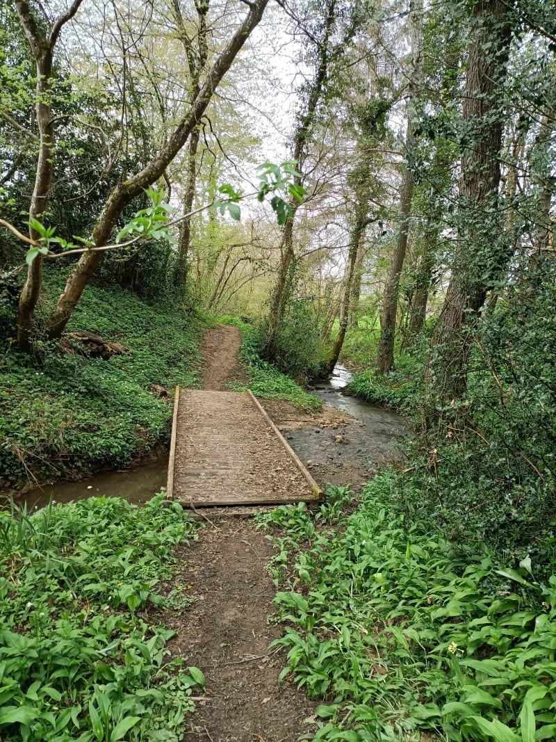 Le grand 8 forêt de la Capelle - La Capelle-lès-Boulogne