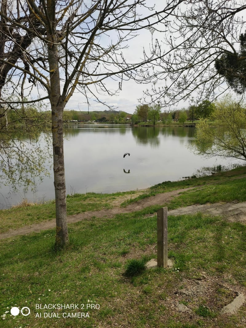 Tour de Cournon-d'Auvergne - Cournon-d'Auvergne