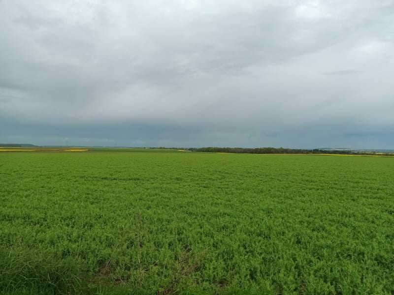 Promenade au départ de Noisy-Rudignon - Noisy-Rudignon
