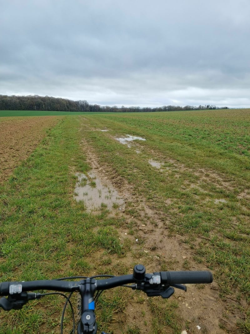 Chemin et champs Longwy - Longwy