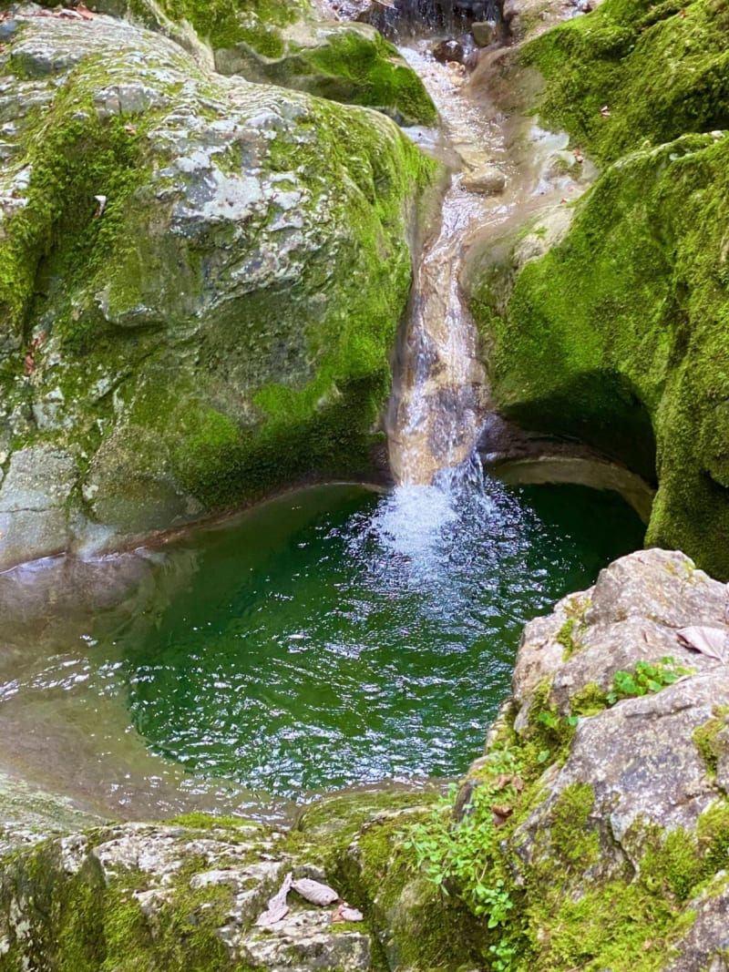 Betoverende excursie naar de Chaudières-waterval - Les Gras