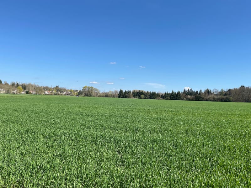 Balade de Saint Pierre - Gien
