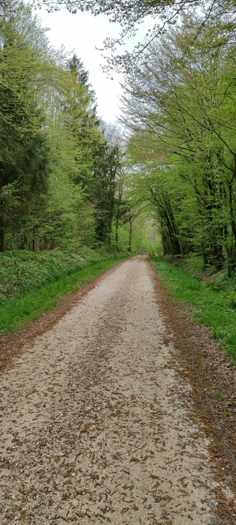 Wandel rond Meroux bij de Bêtes Noires - Meroux-Moval