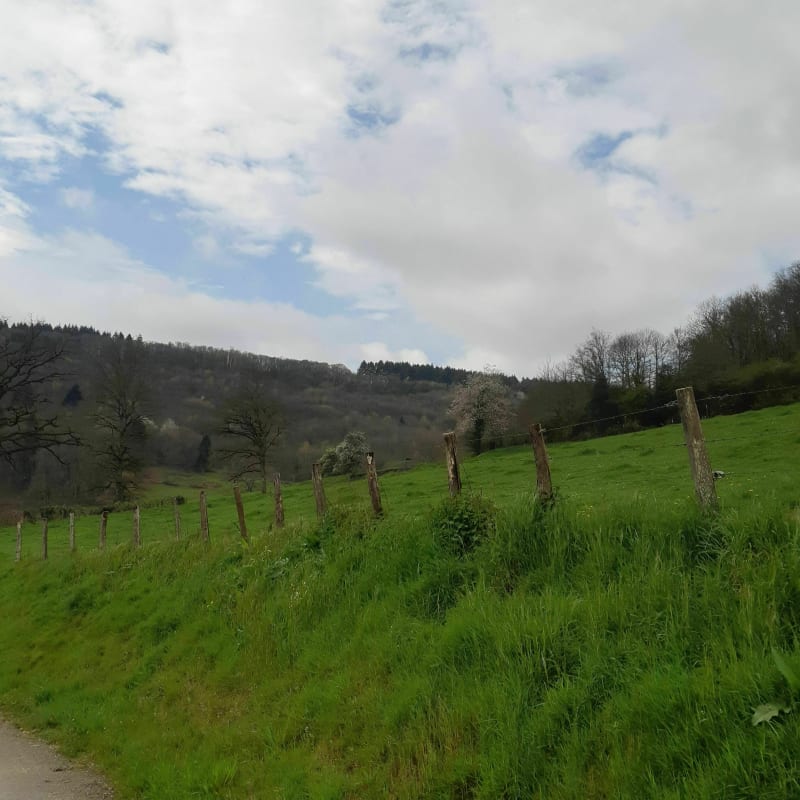 Saint Symphorien de Marmagne - Saint-Symphorien-de-Marmagne
