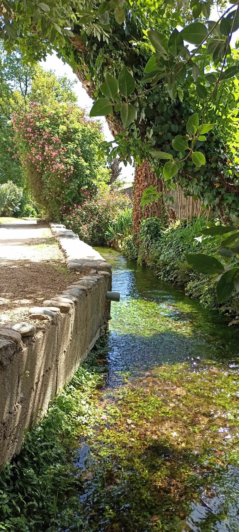 Balade le long des canaux à Valence - Valence
