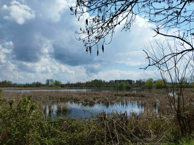 Balade dans la campagne au dessus de St Cyprien - Saint-Cyprien