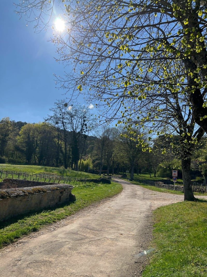 Les hauts de la Combe de Fixey et Combe Laveau - Brochon