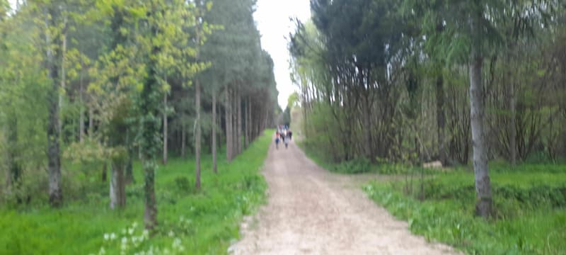 Rando à Saint Père en Retz - Saint-Père-en-Retz