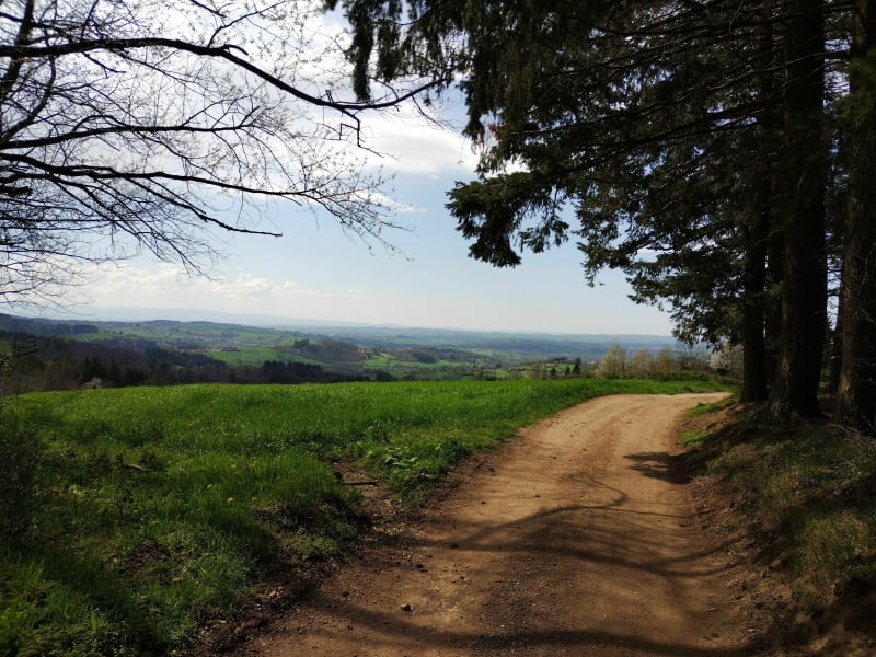 Balade bois de Chauffailles - Chauffailles