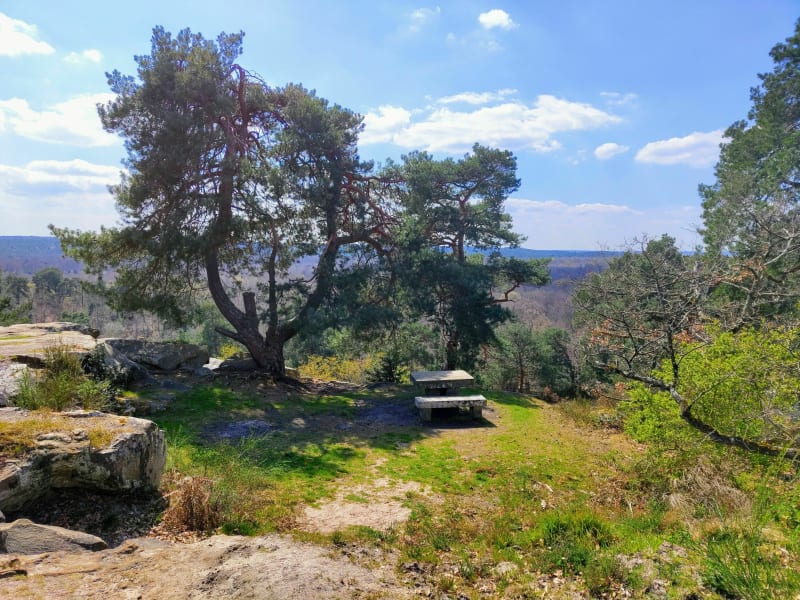 Rocher Canon - Fontainebleau