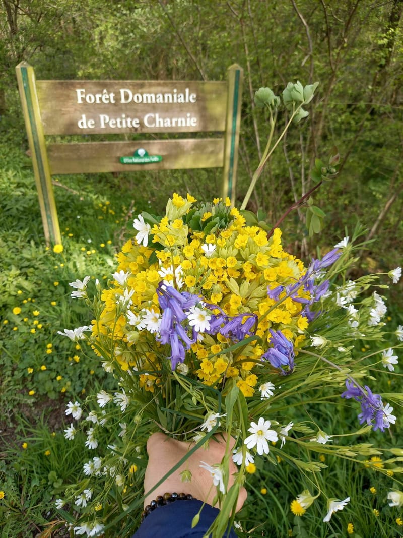 La Petite Charnie fleurie - Saint-Symphorien