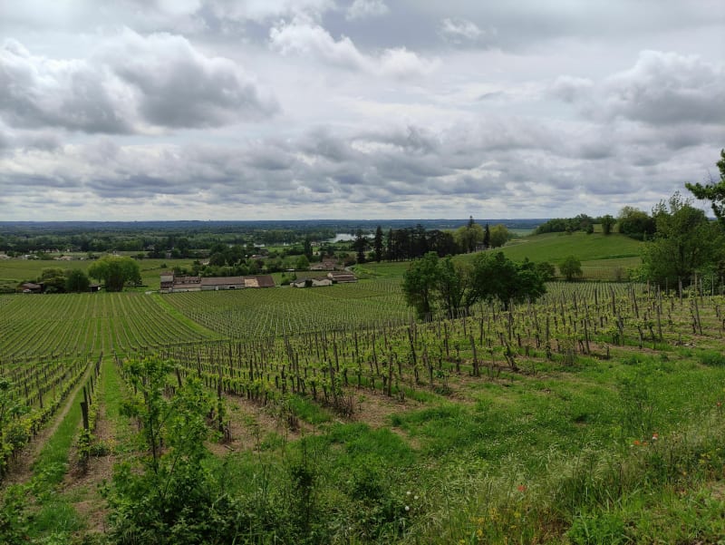 Tour dans le Fronsadais - Fronsac