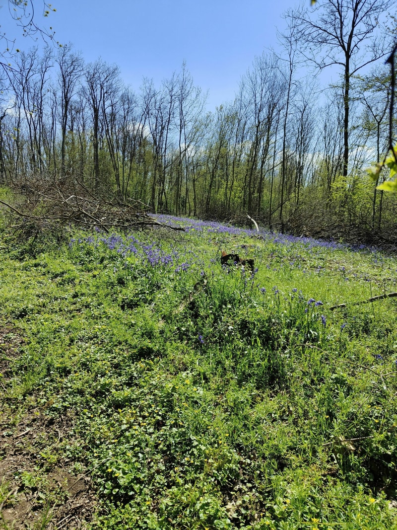 Petite balade en campagne entre route et chemin - Mazangé