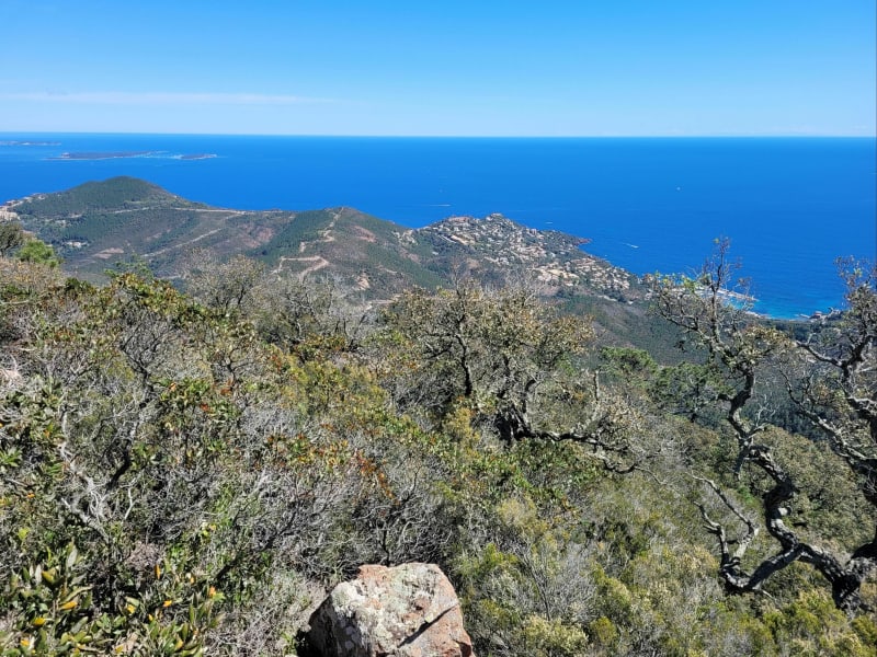 Ascension des Grandes Grues dans le massif de l'Esterel - Théoule-sur-Mer