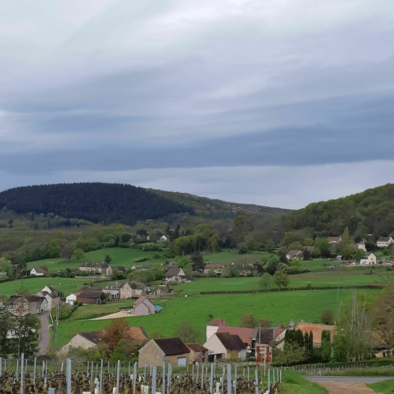 Dans la vallée des Vaux - Saint-Mard-de-Vaux