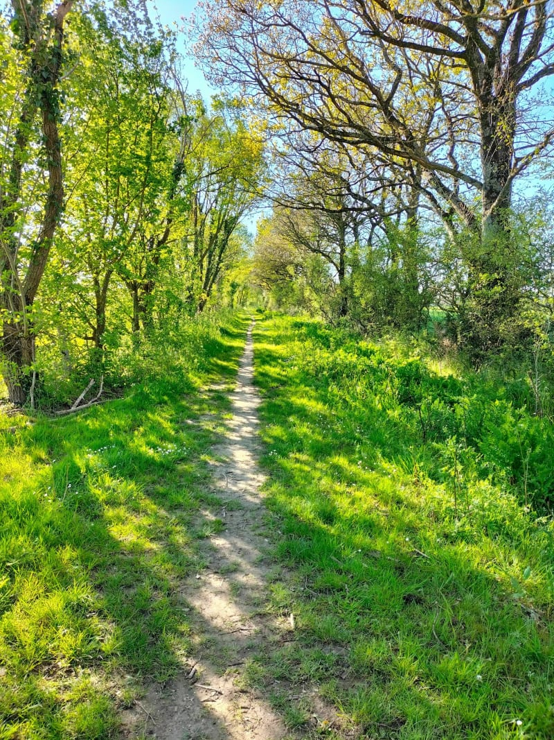 Vers la campagne Bellevilloise - Bellevigny