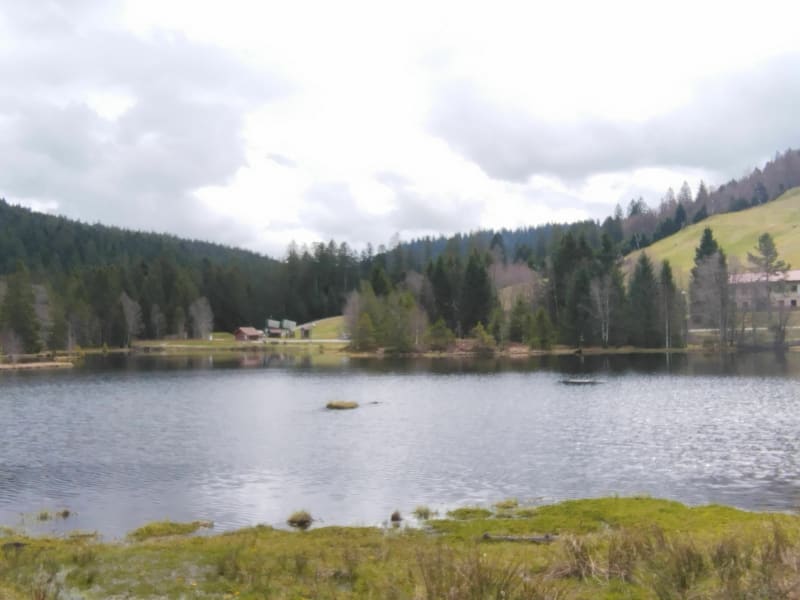 Tour du lac de Lispach - La Bresse