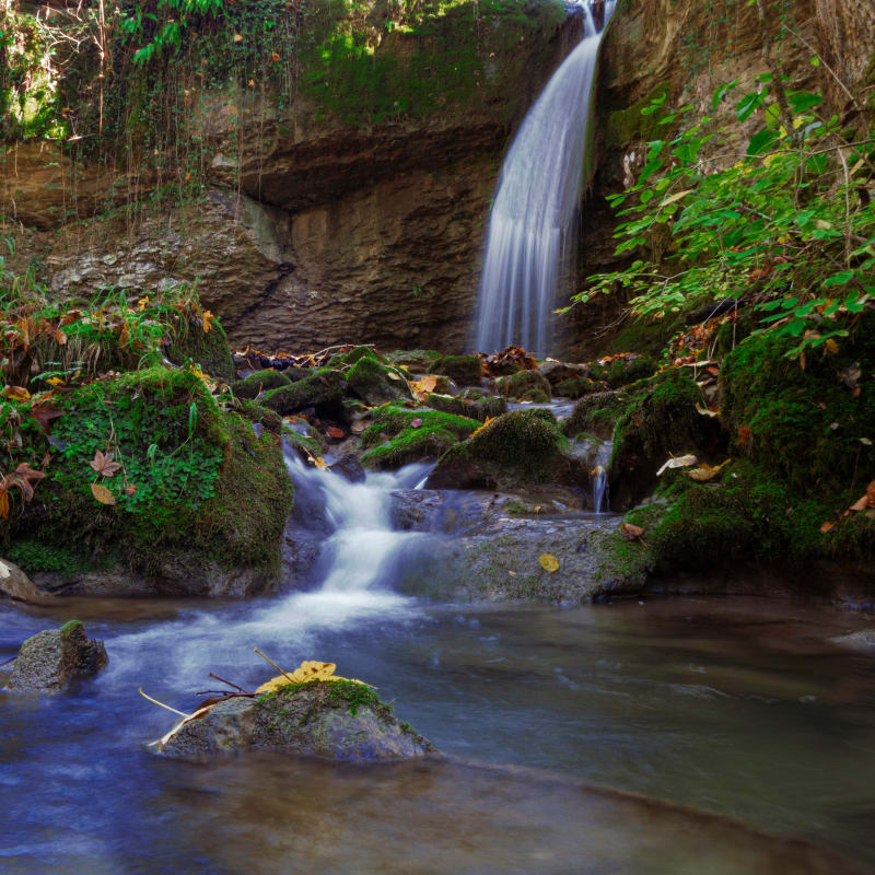 Boucle autour de la Cascade de la Roche et ses deux étangs - Saint-Baudille-de-la-Tour